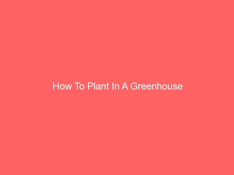 How To Plant In A Greenhouse