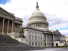 Ousting the Republican conference chair, Republicans chose lies over Liz