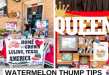 17 Things to Do at the Luling Watermelon Thump & Tips for Visiting!