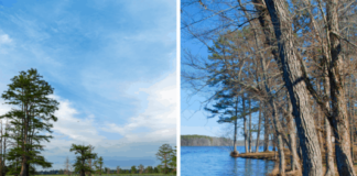 27 Amazing Arkansas Lakes for Cool Summer Lakeside Getaways