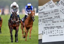 5 Tips Every Beginner Must Consider for Horse Race Betting