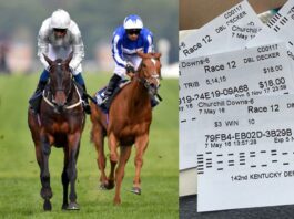 5 Tips Every Beginner Must Consider for Horse Race Betting