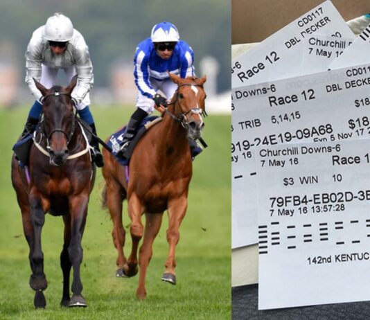 5 Tips Every Beginner Must Consider for Horse Race Betting