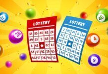 The Evolution of Toto Lottery: How It Has Changed Over Time