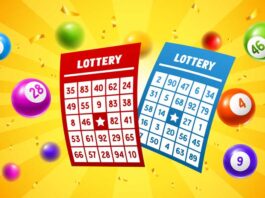 The Evolution of Toto Lottery: How It Has Changed Over Time